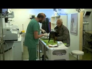 François L'Embrouille - Le veterinaire