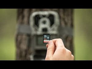Avoid These 5 SD Card Trail Camera Mistakes