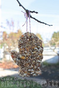 Cookie Cutter Bird Seed Feeders {A Toddler-Friendly Method} - Mama.Papa.Bubba.