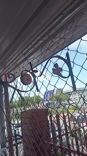 #plantstands #flowers #concrete pots and more