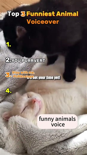 Top 3 Funniest Animal Voiceover(try not to laugh)