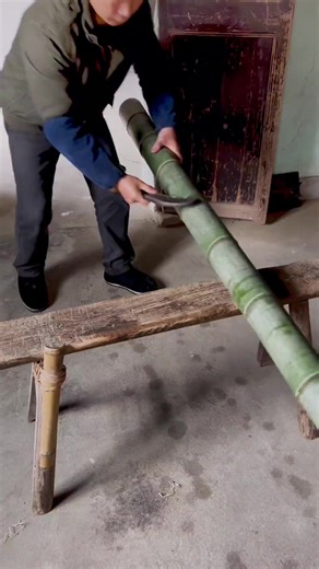 Best skill Best Way to use Bamboo Trees #bamboo #bambooforest #bamboozled #bamboosunglasses #bambooclothing #bambootoothbrush #bambooisland #bamboogrove #bambooshoots #bambootattoo #bamboohouse | 4Day