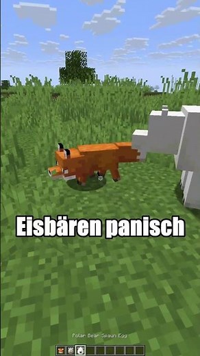 The Biggest Secret About Foxes in Minecraft! 🐻‍❄️