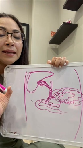 858K views · 12K reactions | El páncreas es clave para tu digestión y...