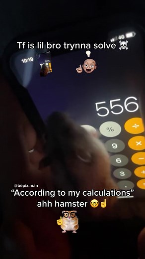 Hilarious Hamster Meme: Math & Laughter Galore! 🐹📱