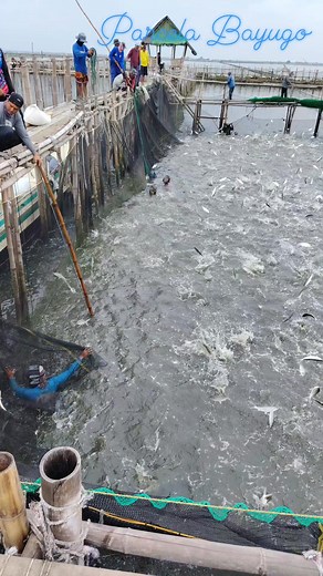 Ricky Pineda Santos on Reels