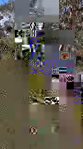 15K views · 80 reactions | Solo traveler, friend group or family...