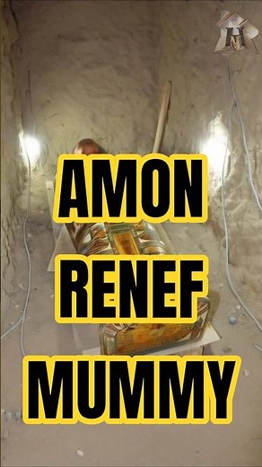 Amon Renef, The Royal Household Servant with the One Millimeter Cartonnage