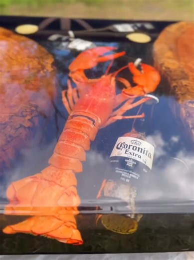 Lobster Encased in Resin: A Unique Art Piece