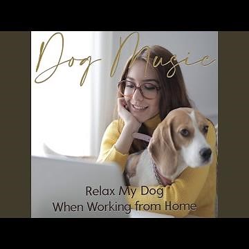 Songs for Dogs