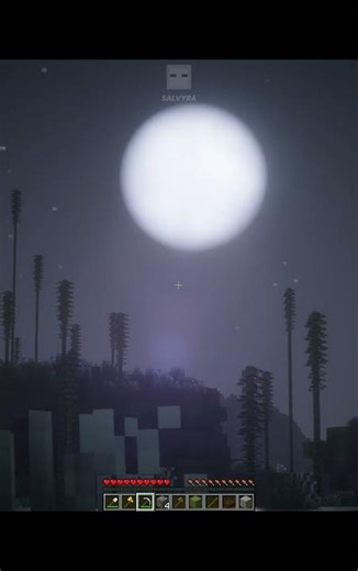 This is The View I Play Minecraft For