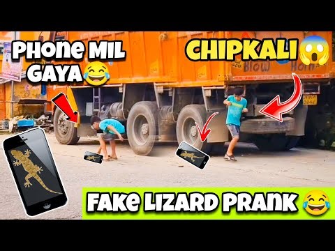 Fake Lizard Prank | Part 2 | Gorang Saini | Prank 2025 | #prank #prankvideo