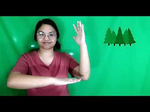 ASL: FOREST/WOODS