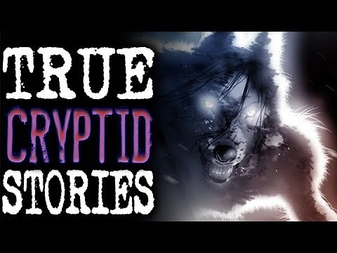 11 True Creepy Cryptid Encounter Horror Stories