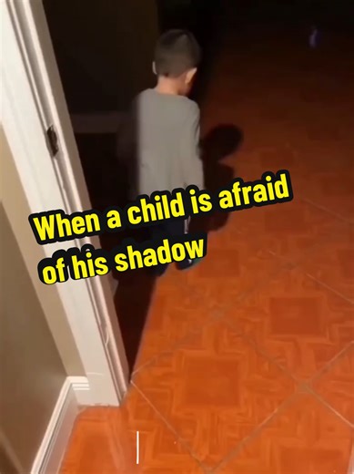 A Child's Fear of Their Shadow: A Funny Moment