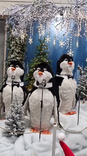 #PenguinBand #ChristmasShorts #CuteAnimals #HolidayVibes #FestiveFun #Shorts