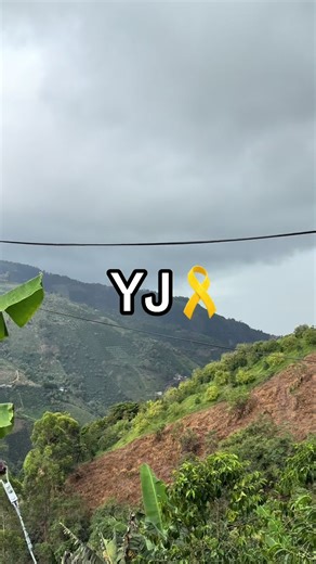 Videos de los.kichos (@los.kichos) con “sonido original - adigalindez”