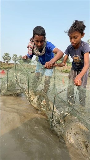 Village Amazing little boy fishing in net #ruralfishing #fishvideo #shorts