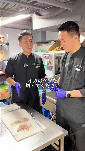 ③初めてイカのアレを見ました🩷新入社員のハクヨル君に日本のヤリイカの捌き方を教えます #福岡グルメ