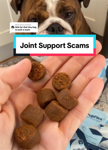 Quality Dog Supplements: Why I Choose Science-Backed Products