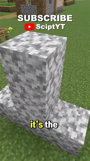 The Most Useless Block In Minecraft
