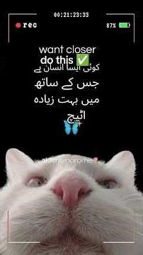 do this instead 🔥🤏☠️#beyourself #confidenceiskey #kpop #loveyourself #innerstrength #positivevibes