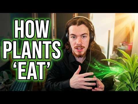 A photosynthesis song