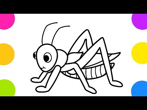 Cómo dibujar un saltamontes - dibujar insectos para niños