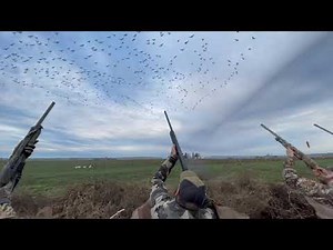 EPIC SNOW GOOSE HUNT!!!
