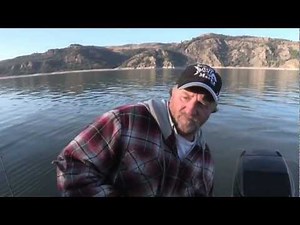 Lake Roosevelt Triploid Rainbow Trout