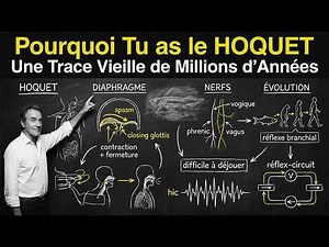 LE POISSON EN VOUS / Pourquoi vous avez le hoquet