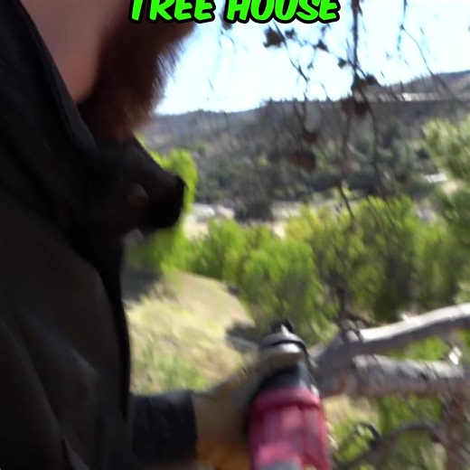 11K views · 175 reactions | We Turned a Tree House into a GAMING FORTRESS! | Dangie Bros | Facebook