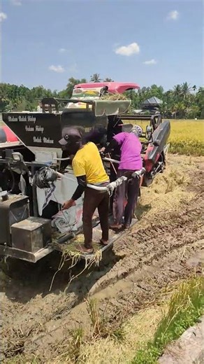 YANMAR. COMBINE HARVESTER