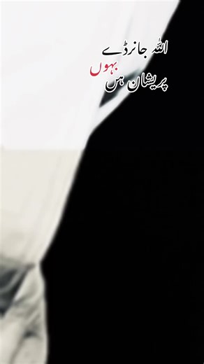 ❤️❤️#saraiki #saraikisong #saraikijhummar #سرائیکی #سرائیکی۔سونگ🌹✌️❣️ #سرائیکی_وسیب #یاسرالبلوشی @Majid Laghari🖤🥂 @Madu_🖤