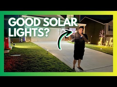 How These Solar Pathway Lights Actually Look in the Yard at Night