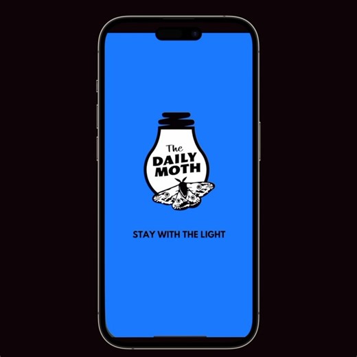 thedailymoth👐 on Instagram: "The Daily Moth has a BIG announcement! The Daily Moth is now a subscription-based app/website! For $3.99/month or $39.99/year, get news delivered in ASL on our app—now live on Apple & Google Play. Top Stories will still be on social media, but with a one-day delay. Support independent Deaf news—subscribe today! Find “The Daily Moth” on the Apple Store or Google Play at the links in the bio or search it! You can also go to our website at members.dailymoth.com"