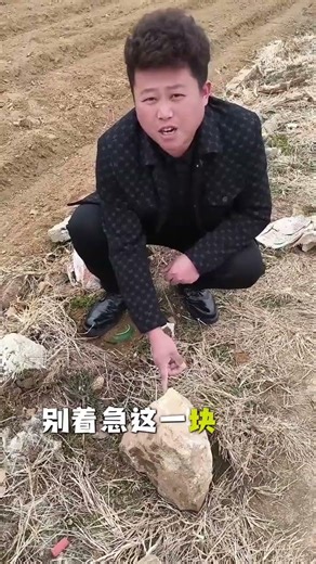 Bomb Prediction: When Tech Gets It Wrong in a Hilarious Way