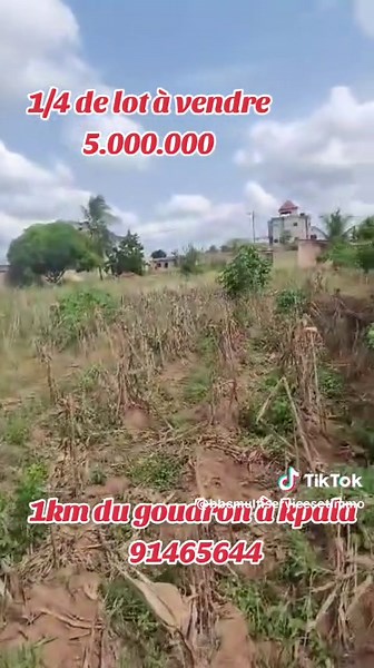 *OCCASION CHAUD CHAUD: 1/4 DE LOT SUR LA COLLINE À KPALA AVANT BAOBAB* 1/4 de lot à déduire d'un 3/4 de lot bien positionné à Kpala bien avant le baobab à 150m accès direct de la grande voie. Prix de vente : *5 millions à revoir légèrement* Documents : *Plans Visés Tampon OTR* Localisation : Kpala 1km du goudron #legbassito #independance #terrainavendre #vakpossito #agoeassiyeye
