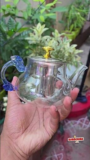 Glass Tea Pot with Stainless Steel Infuser