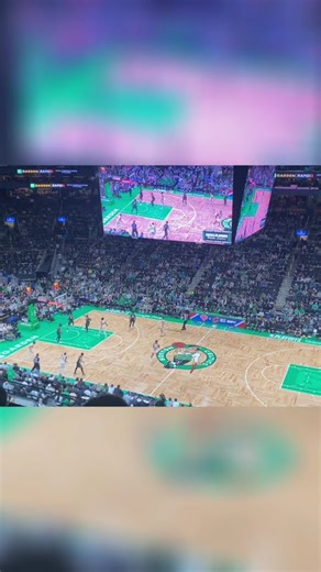 Dog Show Halftime Performance: This is how we entertain you! #shorts