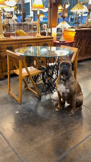 Jax wants to know if you need a table for 2? Cast iron singer treadle sewing machine base, Ward heater Co. cast iron floor grate made here in Los Angeles, and a 38” x 3/8” beveled glass top. Everything has been repurposed/recycled from other pieces. Nothing to waste! Chairs fold and are solid oak Open tomorrow 10-5, come and get it! | Divine's - Quality Vintage Furniture, Antiques, and Lighting.