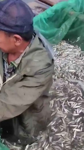 Expert Fishing for Incredible Sea Finds and Creatures