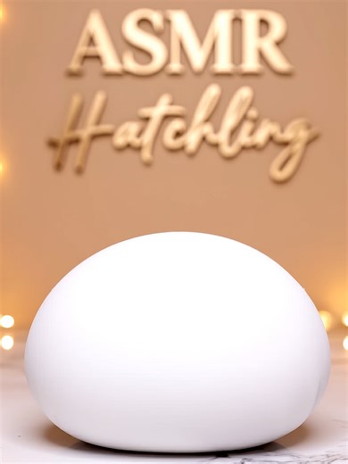 A new hatchling moment 👀🐣 Soft ASMR animal reveal. Calming, cozy, oddly satisfying. What should hatch next?