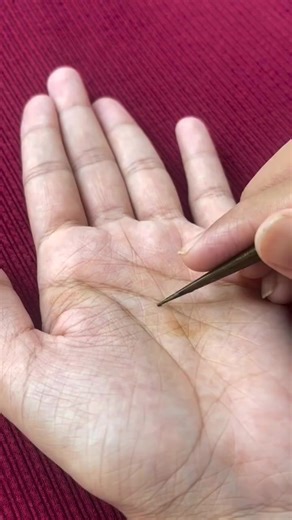 Beautiful Mandala Mehndi Design Tutorial