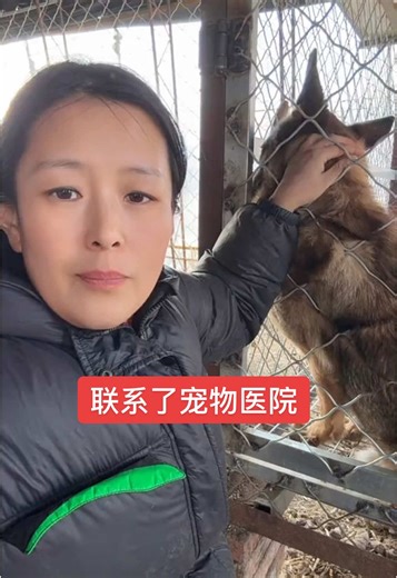 联系了宠物医院