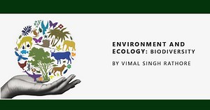 2.4K views · 108 reactions | Important International Conventions on...