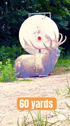 New York Bow Tune #fyp #archery #hunting #outdoors #newyork #bowhunt @toothofthearrowbroadheads