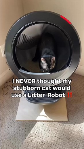Did you know we have a 90-day in-home trial? It's never been a better time to try Litter-Robot. Stop scooping today😺 | Litter-Robot by Whisker