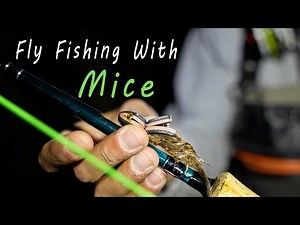 Fly Fishing at Night | Mousing Journey Pt.2