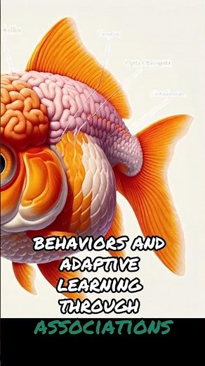 Goldfish Memory Unveiled: The 3-Second Myth Explained!